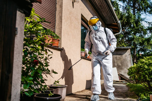 Best Pest Removal Services  in St James, NY