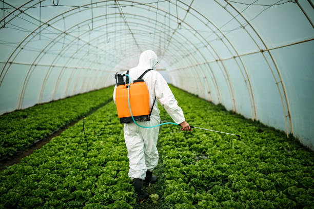 Professional Pest Control in St James, NY
