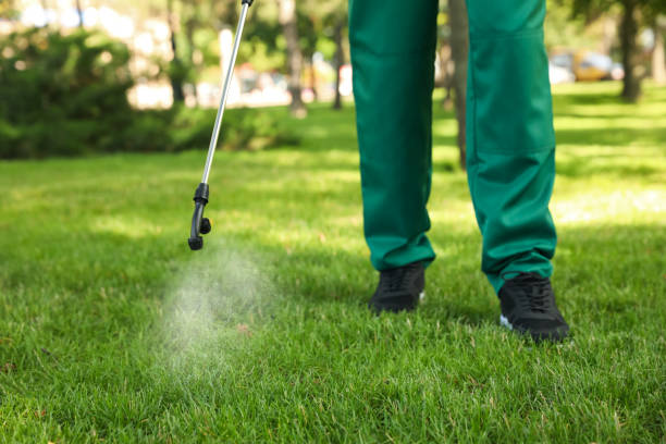 Best Flea Control Services  in St James, NY