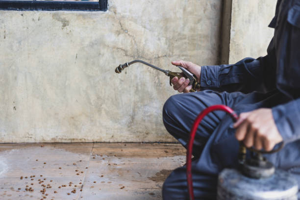 Best Best Pest Control Companies  in St James, NY