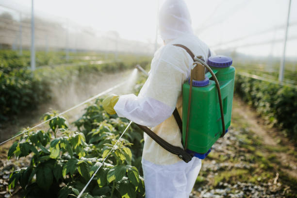  St James, NY Pest Control Pros